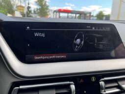 
										BMW SERIE 1 LIM. 118 I ADVANTAGE pełny									